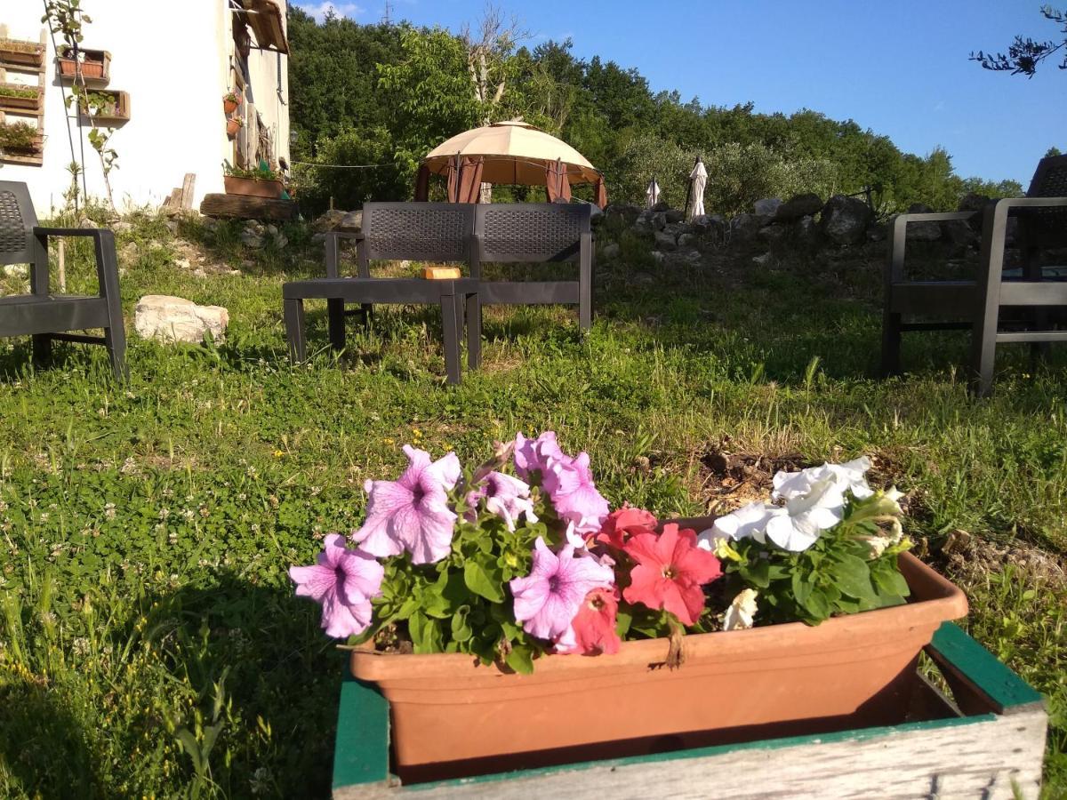 La Masseria Di Antonio E Teresina Colli a Volturno エクステリア 写真