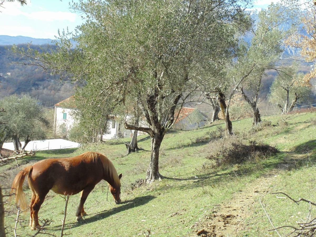 La Masseria Di Antonio E Teresina Colli a Volturno エクステリア 写真