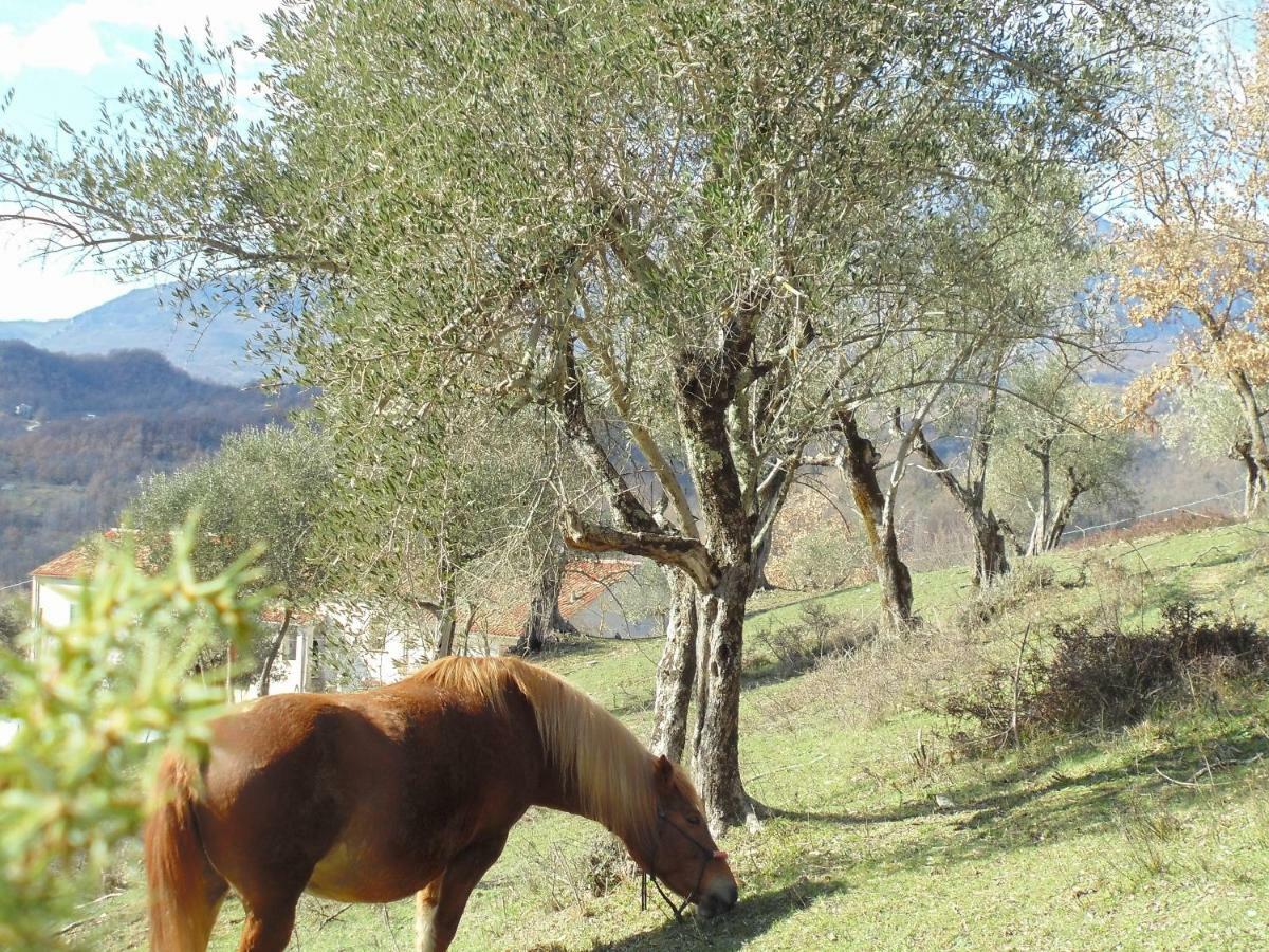La Masseria Di Antonio E Teresina Colli a Volturno エクステリア 写真