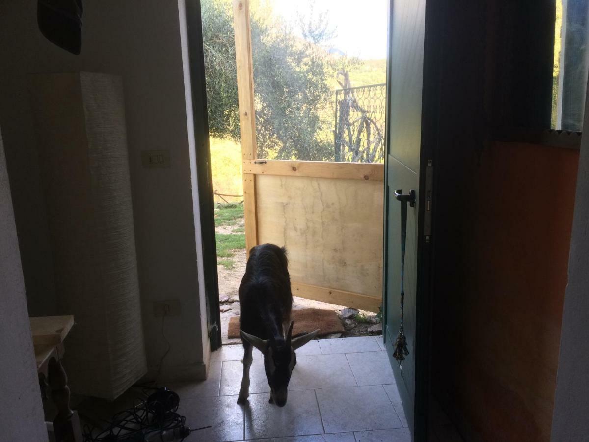 La Masseria Di Antonio E Teresina Colli a Volturno エクステリア 写真