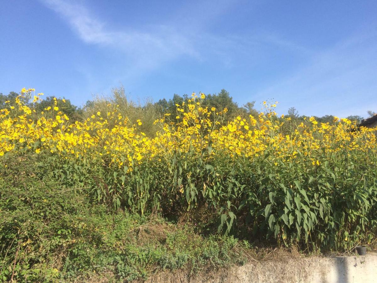 La Masseria Di Antonio E Teresina Colli a Volturno エクステリア 写真